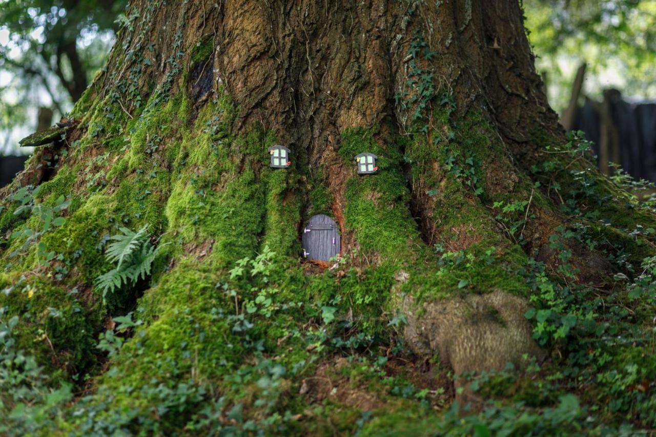 Finca La Peniga Mazcuerras Bagian luar foto